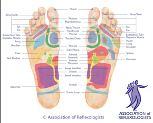 What is Reflexology. foot map AOR